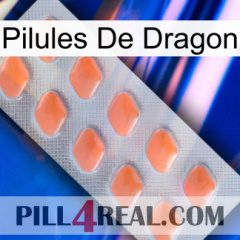 Dragon Pills 26